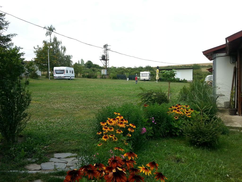 Camping Verila Hotell Sapareva Banja Eksteriør bilde